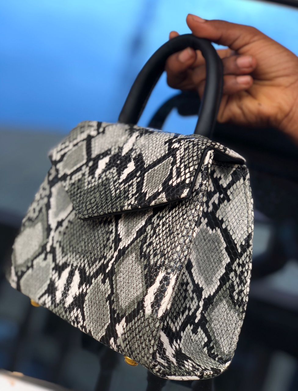 Chic Mini Bag Design