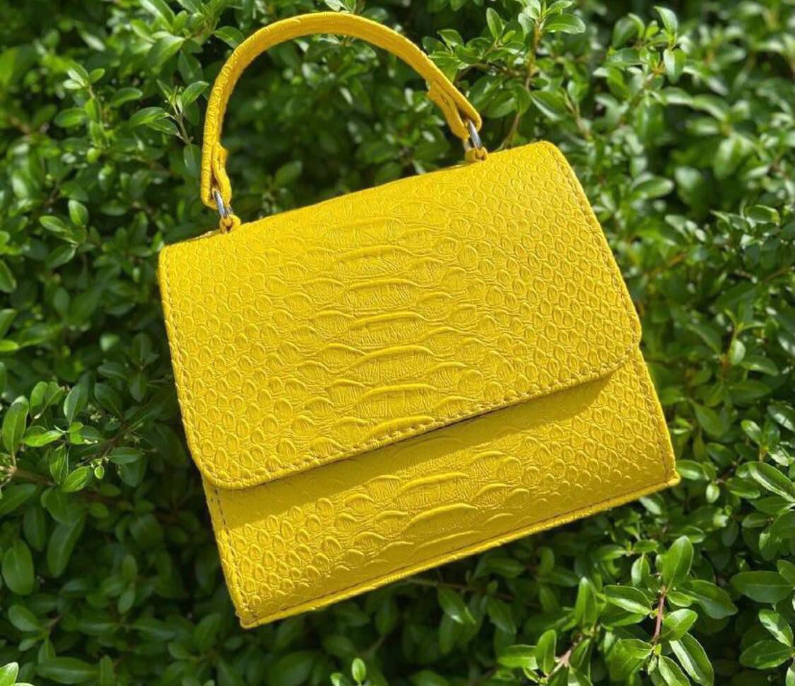 Chic Mini Bag Design